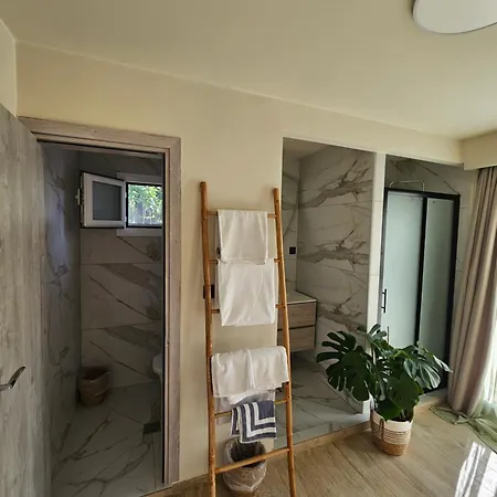 Assini Τολό