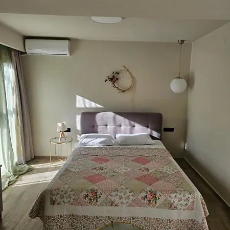 Hotell Assini 2*